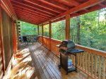 Blue Ridge area cabin with a woods view